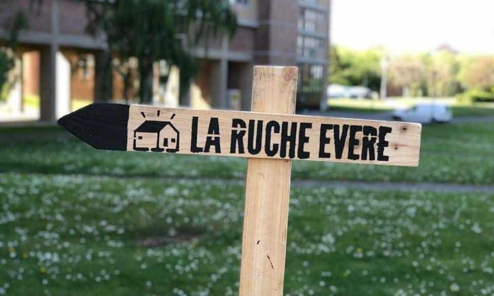 photo ruche